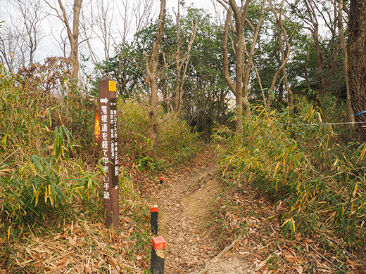 古道「魚屋道」の登山道を歩いてみる3-2