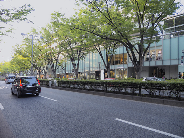 シスターストリート記念日の日にこれまでに歩いた表参道にまつわる場所を振り返ってみる
