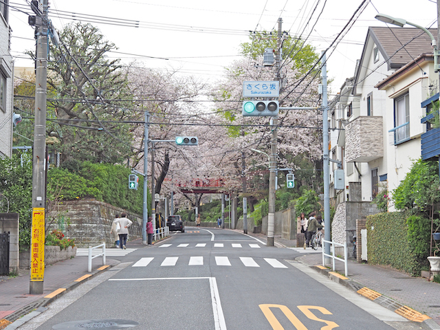 桜坂【NO.560】5