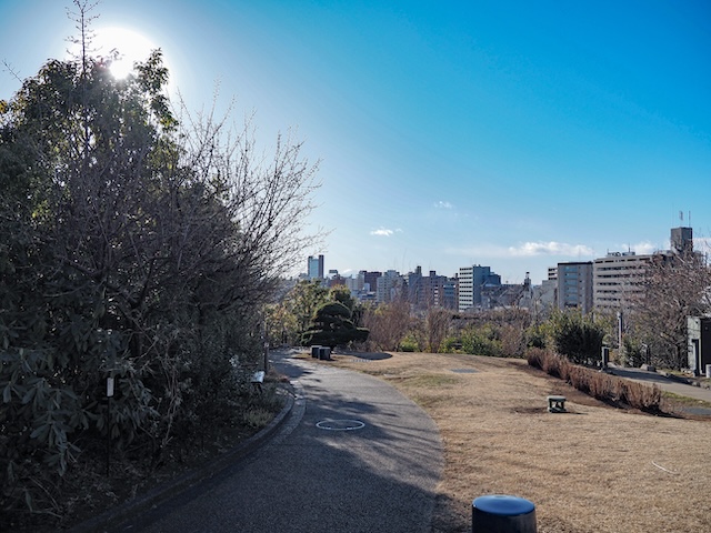 ���㺹24m�Υ롼��゚��ƻ���ܹ�ŷ������μ�����˸��줿�ߤ��ٻλ�1