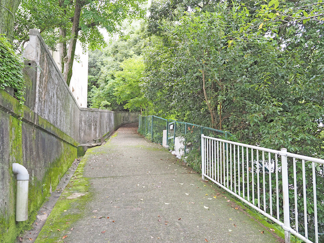摩耶霊園よこの坂道1