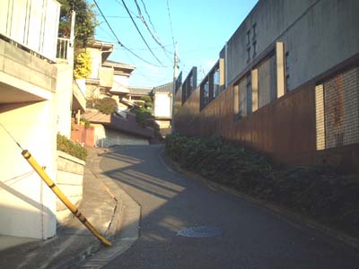 fujisaka14_sakasita
