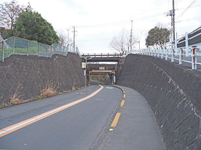 都立東大和公園よこの湖畔通りの坂道2