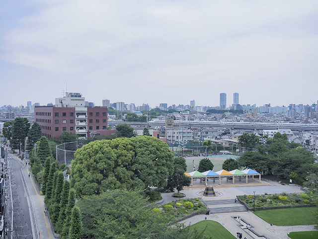 ��������β���롼�ե����ǥ�ȺƳ�ȯ�ʤȤ��볹������361��1