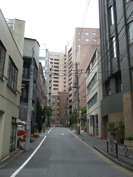 樹木谷坂(NO.167)1