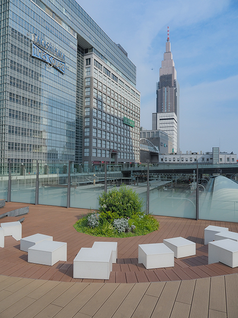 SuicaΥڥ󥮥󹭾γʶ֡ʤȤ볹3631