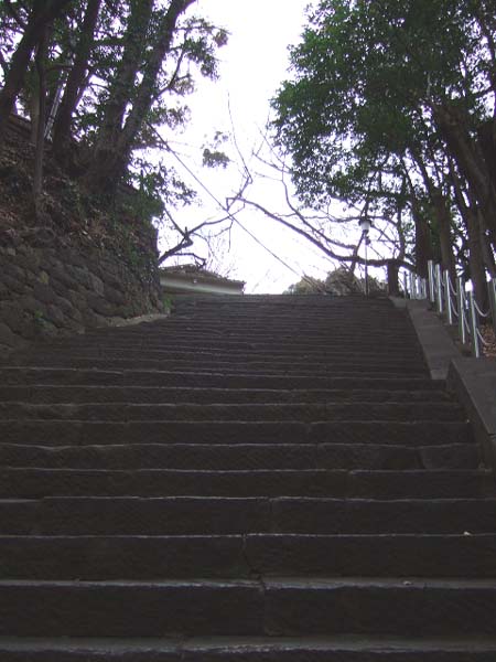 �����[����] (NO.122) 2