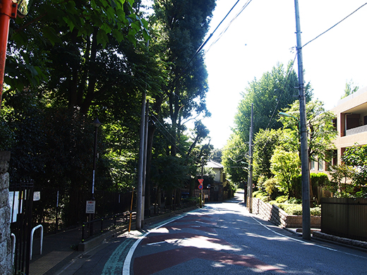 馬坂 (NO.253)3