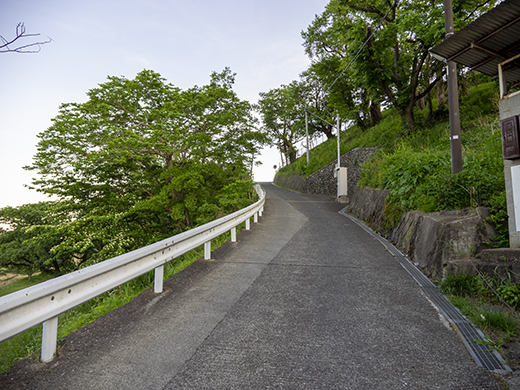 多摩川が見える草花の坂道2