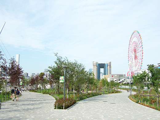 お台場の新しい微坂1