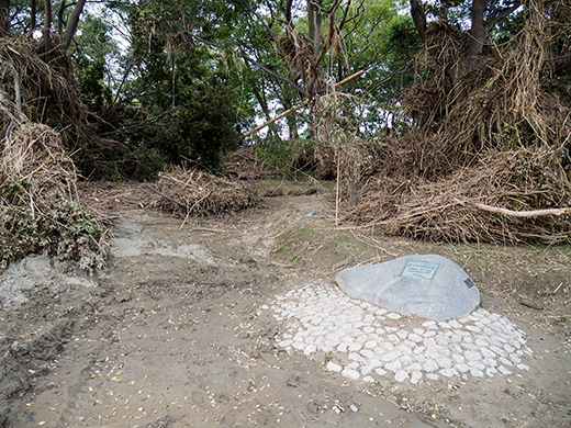 二子玉川の河川敷からの富士山と水害の記憶8