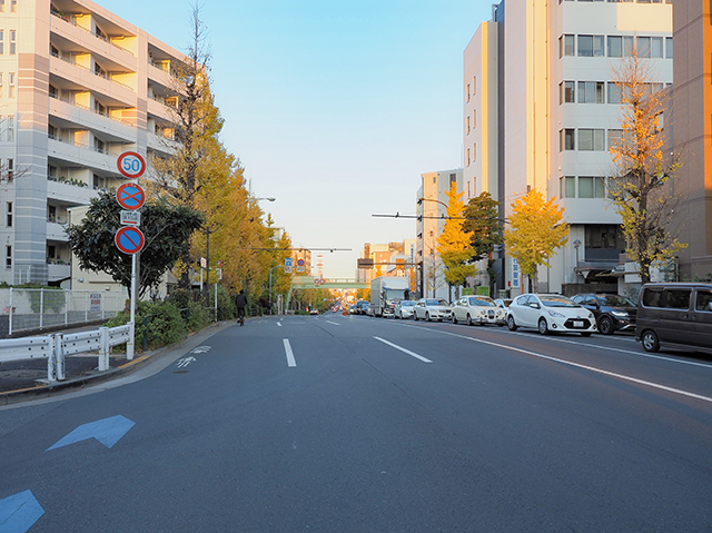 どぜむ坂(NO.375)1