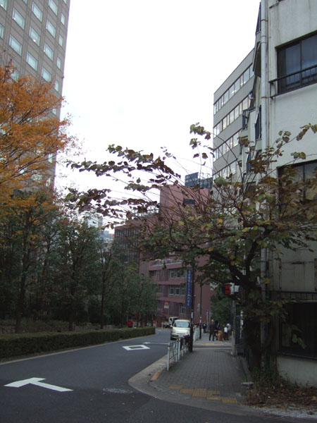 �Ȥ��볹�����ʡʴֺ��6