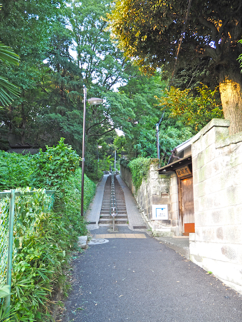 胸突坂【NO.555】1