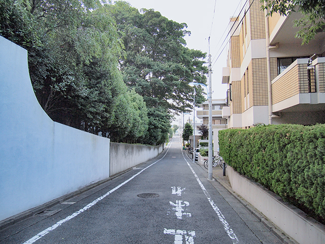 �����NO.447��2+