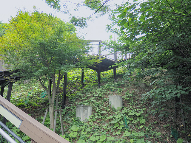 亀塚公園展望デッキと階段【とある街の風景378】4+