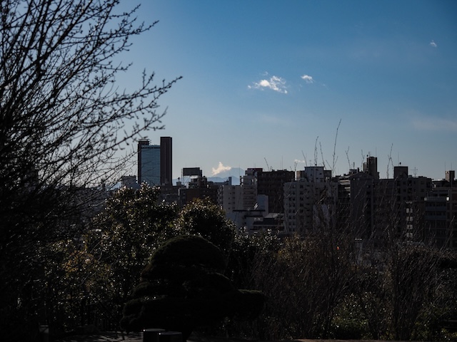 ���㺹24m�Υ롼��゚��ƻ���ܹ�ŷ������μ�����˸��줿�ߤ��ٻλ�2