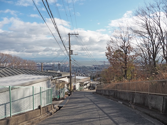 ����NO.729��6