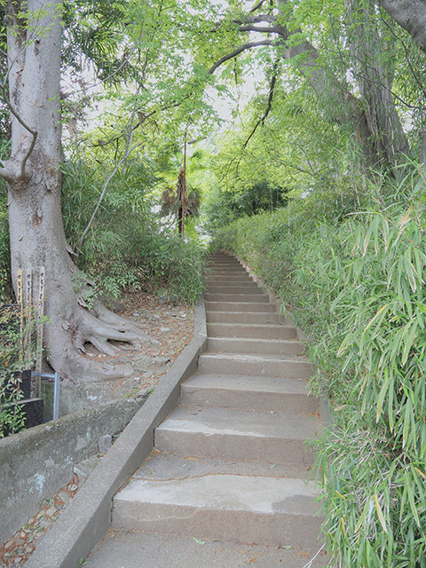 金毘羅坂【NO.481】2