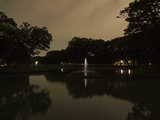 代々木公園夜景定期観測3