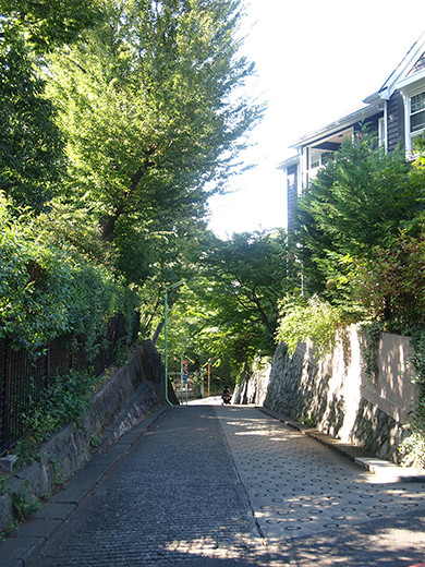 行火坂(NO.251)5
