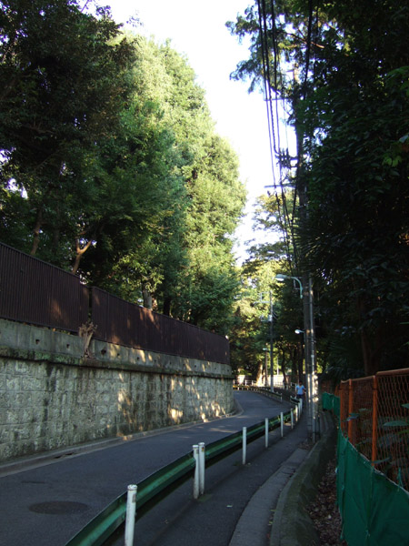 ���ں�(NO.154)5