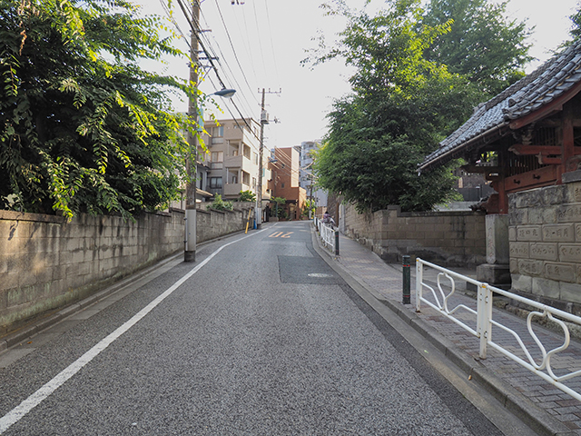 ��������� NO.411��5+
