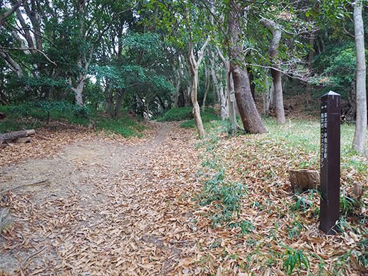 ��ƻ�ֵ���ƻ�פ��л�ƻ���⤤�Ƥߤ�_����2_3