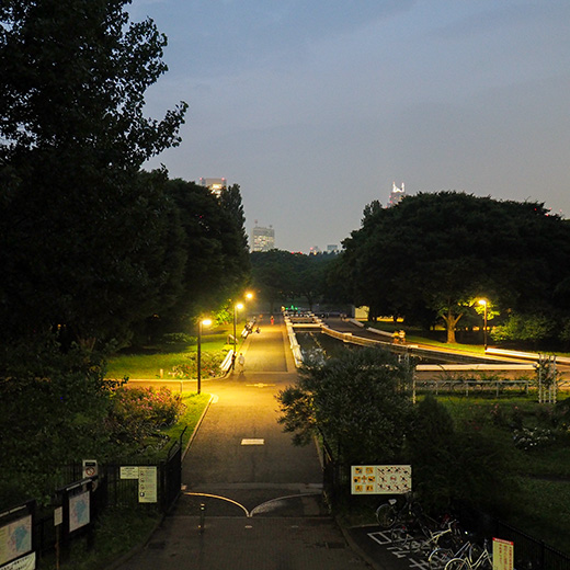 代々木公園定期観測2017-1