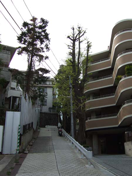 潮見坂 (NO.97) 6