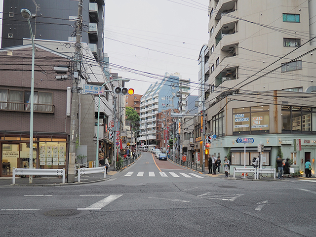 �ĻҺ��NO.497��1