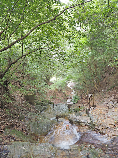 五鬼城展望公園までの山道をぶらり5