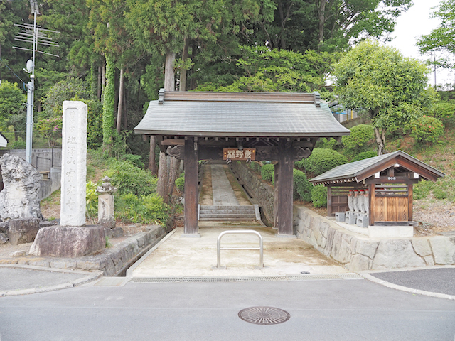 �ֱ�߷�� ������פκ�ƻ�ȳ��ʡ���¿�෴���ν�Įʿ��1