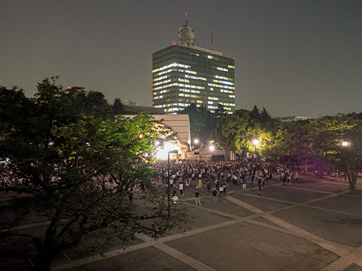 代々木公園定期観測2017-3