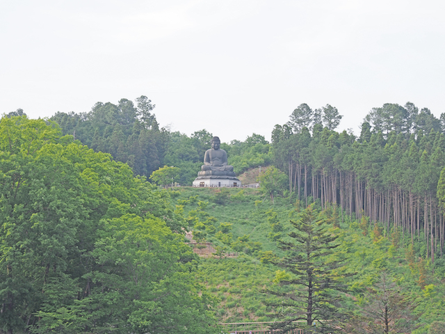 塩澤山・寶光寺の長い階段4