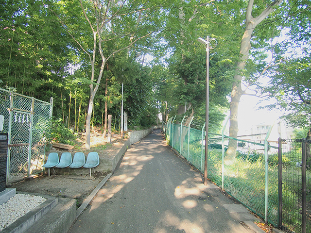 �ޤष���NO.485��1+