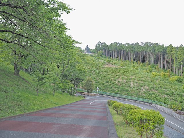 塩澤山寶光寺の鹿野大佛が見える坂道1