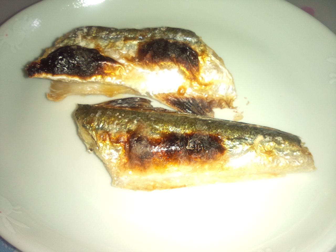 ダツを食べてみた ちいパのアジ釣り日和