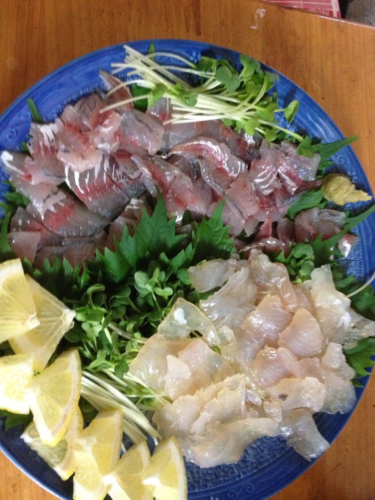 鹿島の豆アジとサプライズ ちいパのアジ釣り日和