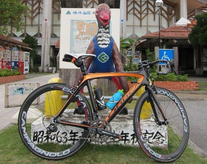 20101116_0002