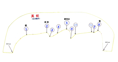 4.【真蛇】赤鶴作_側面