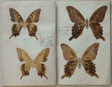 P8070271