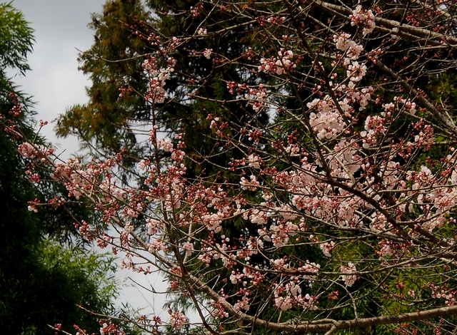 P3180921