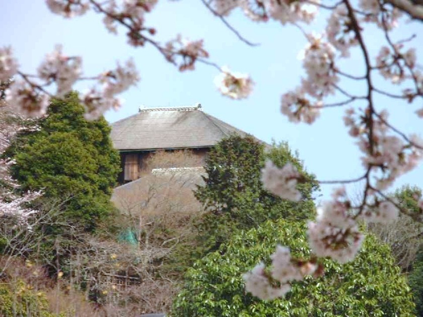桜越しの好文亭