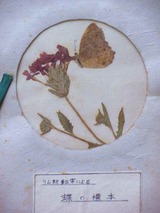 P8070267