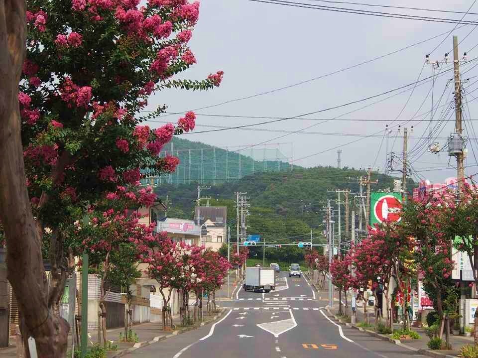 雅勒の散歩路 13年08月