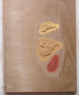 P9210293