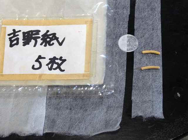 P3201144