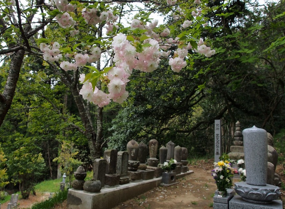 松月(しょうげつ)