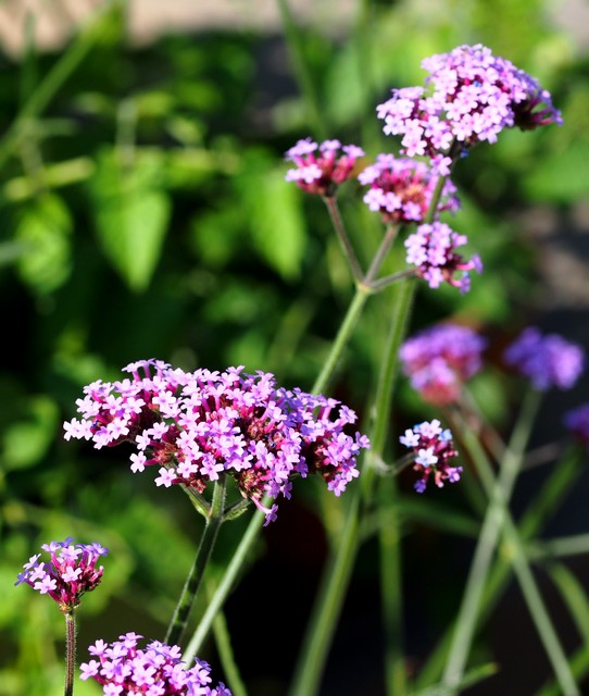 P7020357
